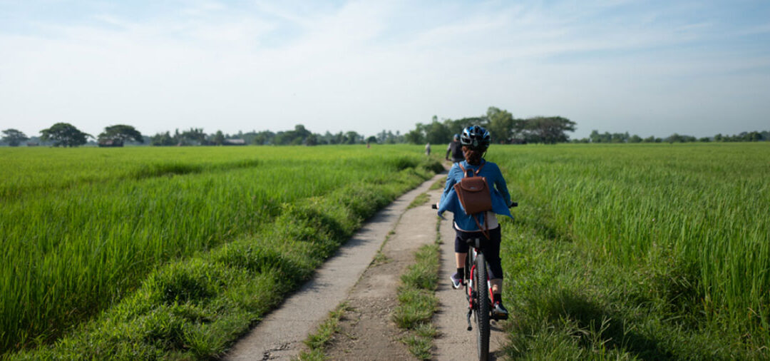 Bikes, Boats, Trains and Craft Beer