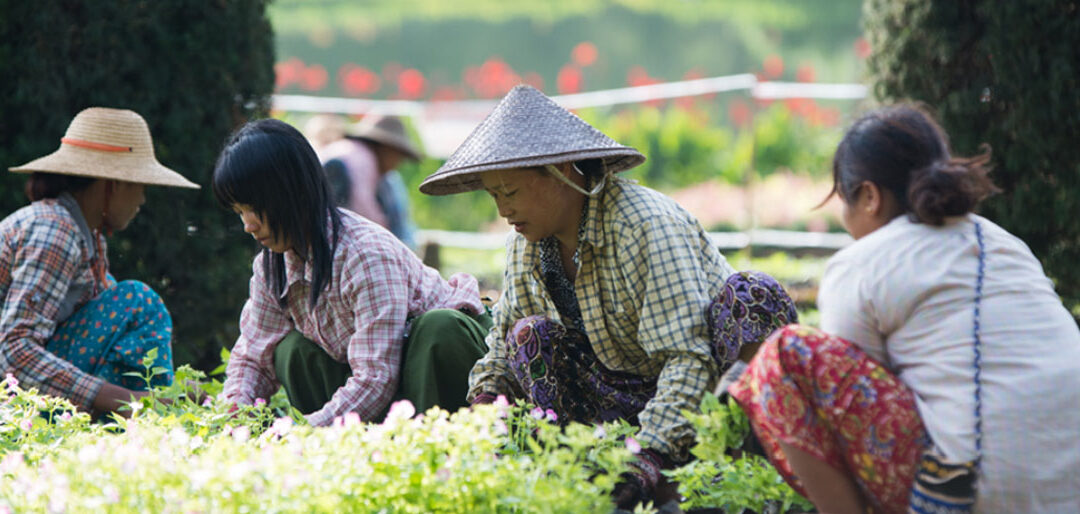 British Burma’s Summer Capital (Pyin Oo Lwin) Mandalay and Mingun