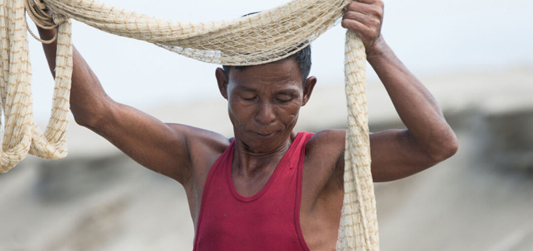 Living Irrawaddy Dolphin Project (Full Day)