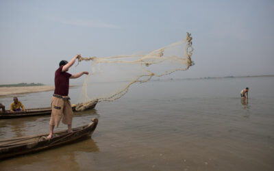 Irrawaddy dolphin experiences